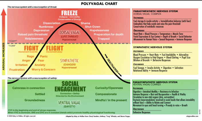 The Polyvagal Chart